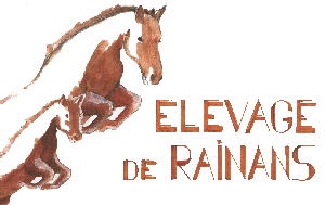 Logo de l'élevage de Rainans